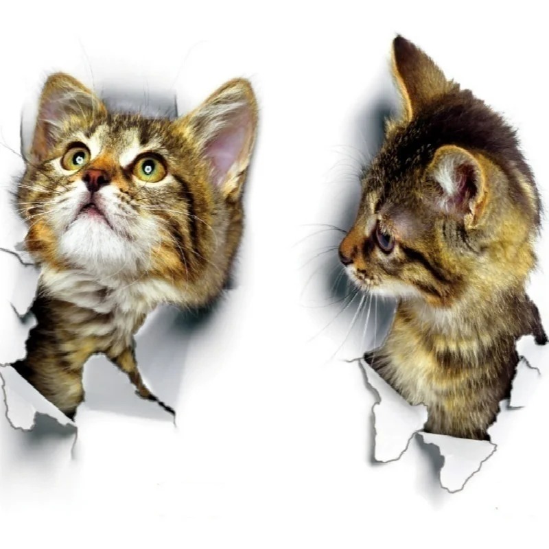 3pcs 3D Cute Cat Self-adhesive - Pvc Panel Background incelemesi ve fiyatı