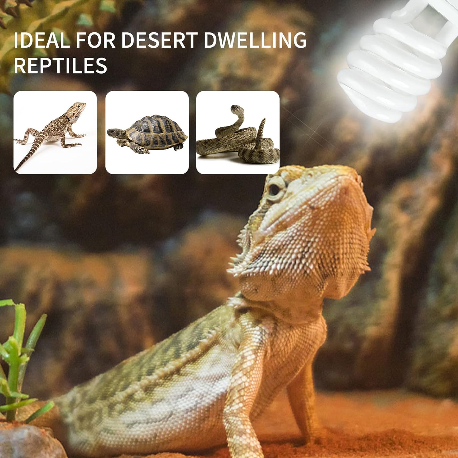 UVB 5.0 10.0 Reptile Heating L - Calcium Powder Reptile incelemesi ve fiyatı