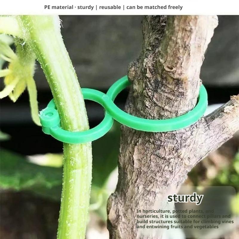 100 Pcs Plant Support Clips He - Vine Climbing Plastic incelemesi ve fiyatı