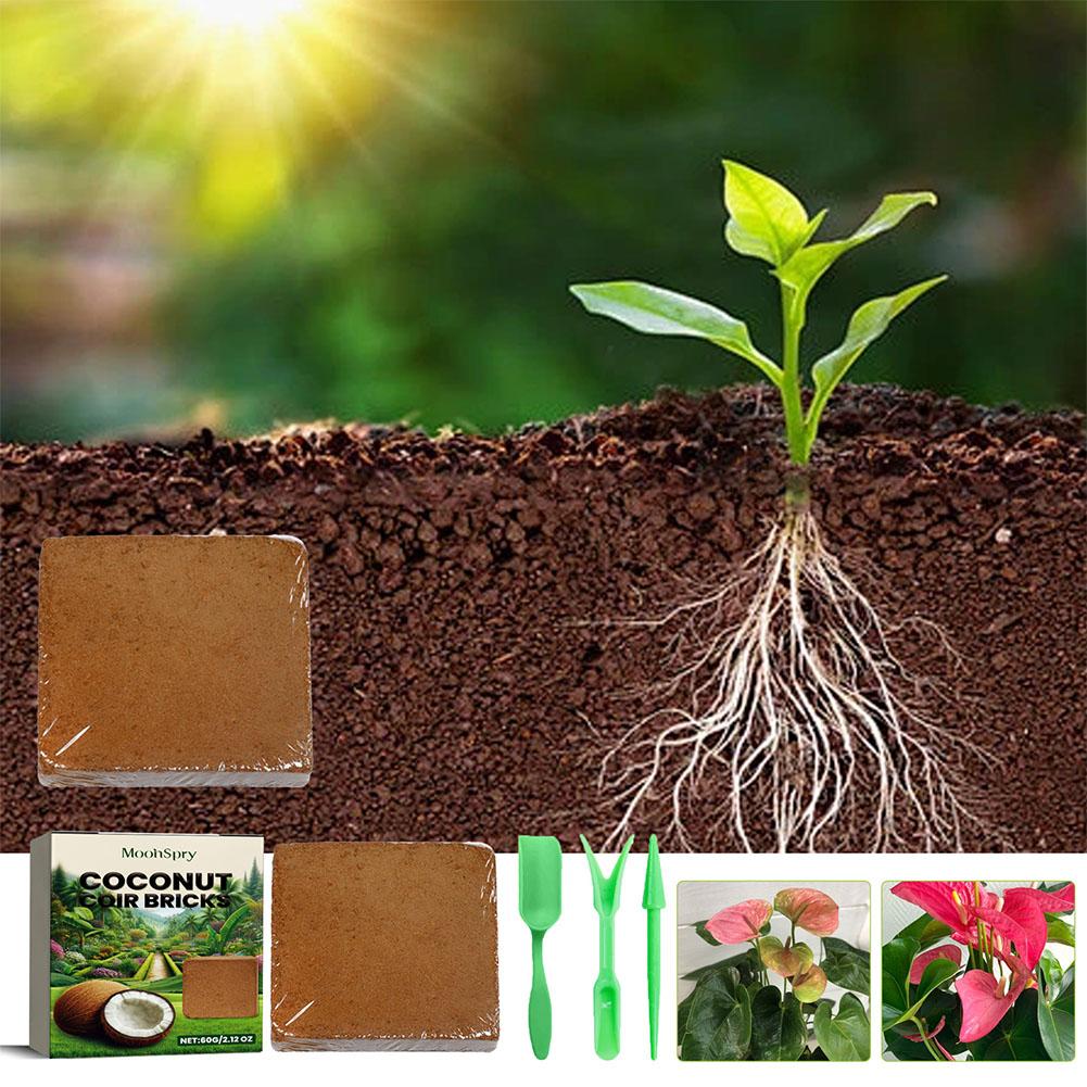 Reptile Coconut Soil Coir Pres - Substrate Coconut Fiber incelemesi ve fiyatı