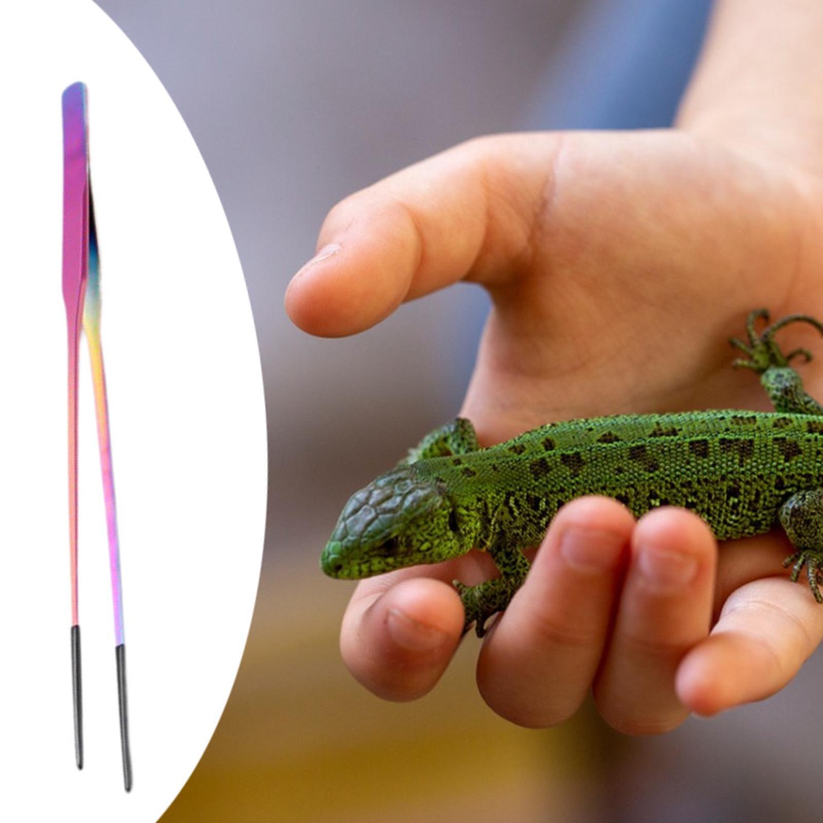 Terrarium Reptile Feeder Tongs - Feeding Tong Stainless incelemesi ve fiyatı