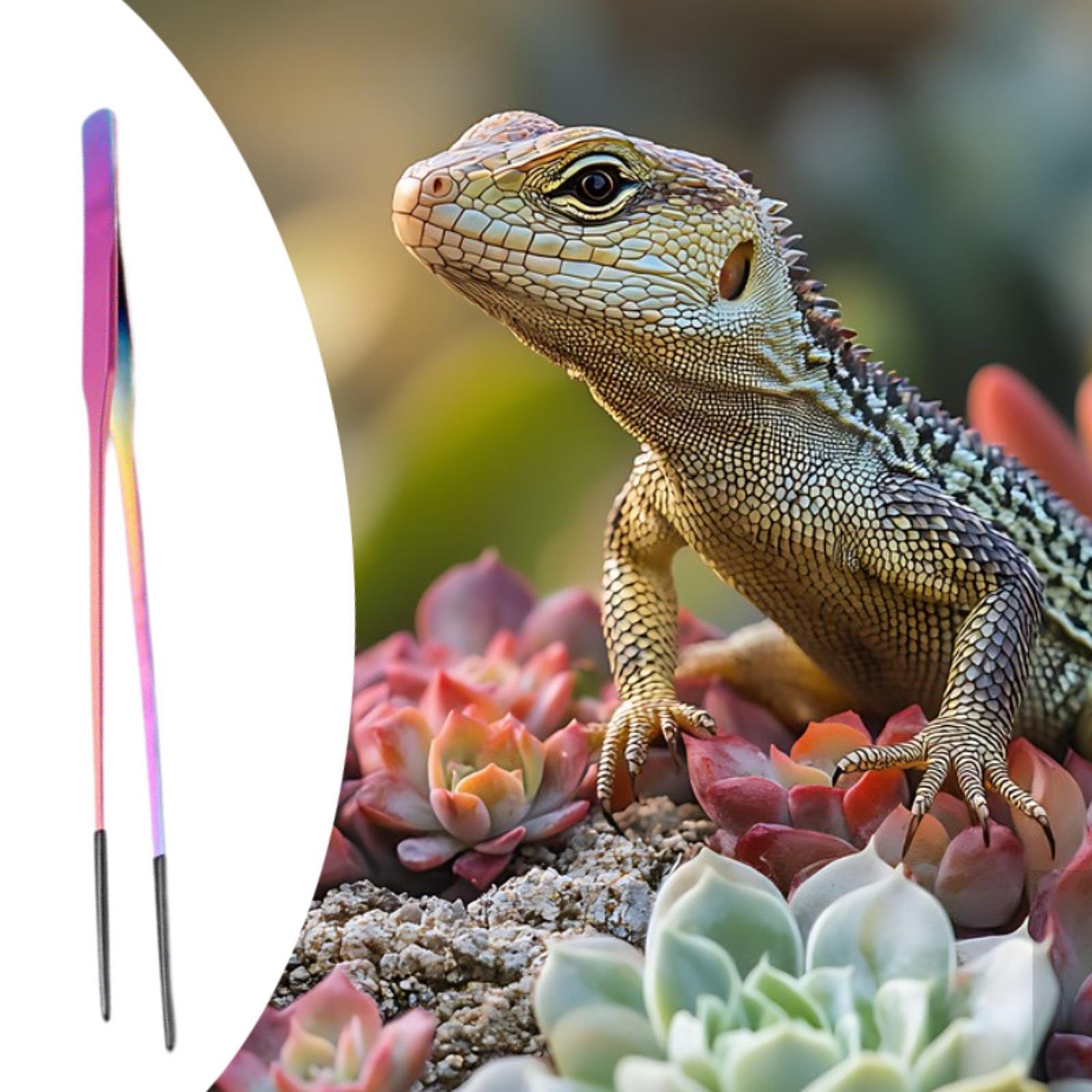 Terrarium Reptile Feeder Tongs - Feeding Tong Stainless incelemesi ve fiyatı