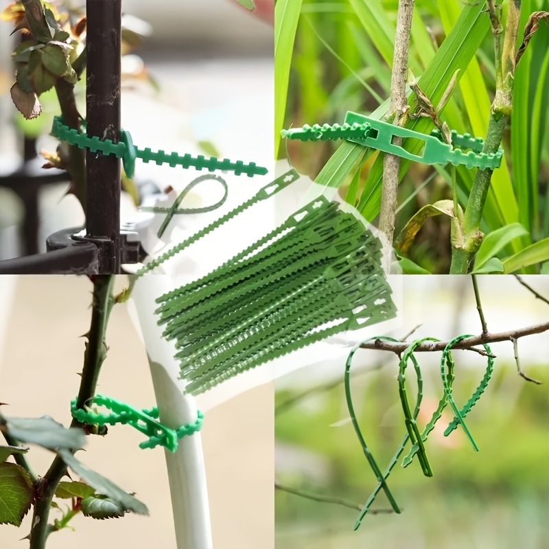 100PCS reusable adjustable pla - Vine Climbing Plastic incelemesi ve fiyatı