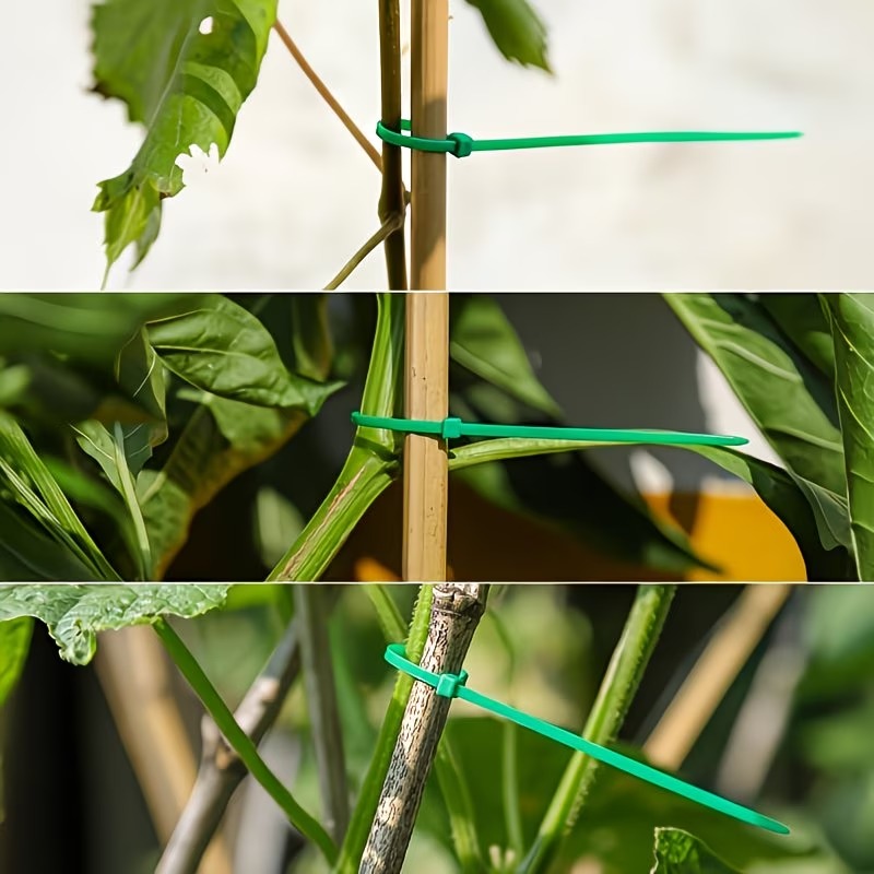 50-300pcs Adjustable Plastic P - Vine Climbing Plastic incelemesi ve fiyatı