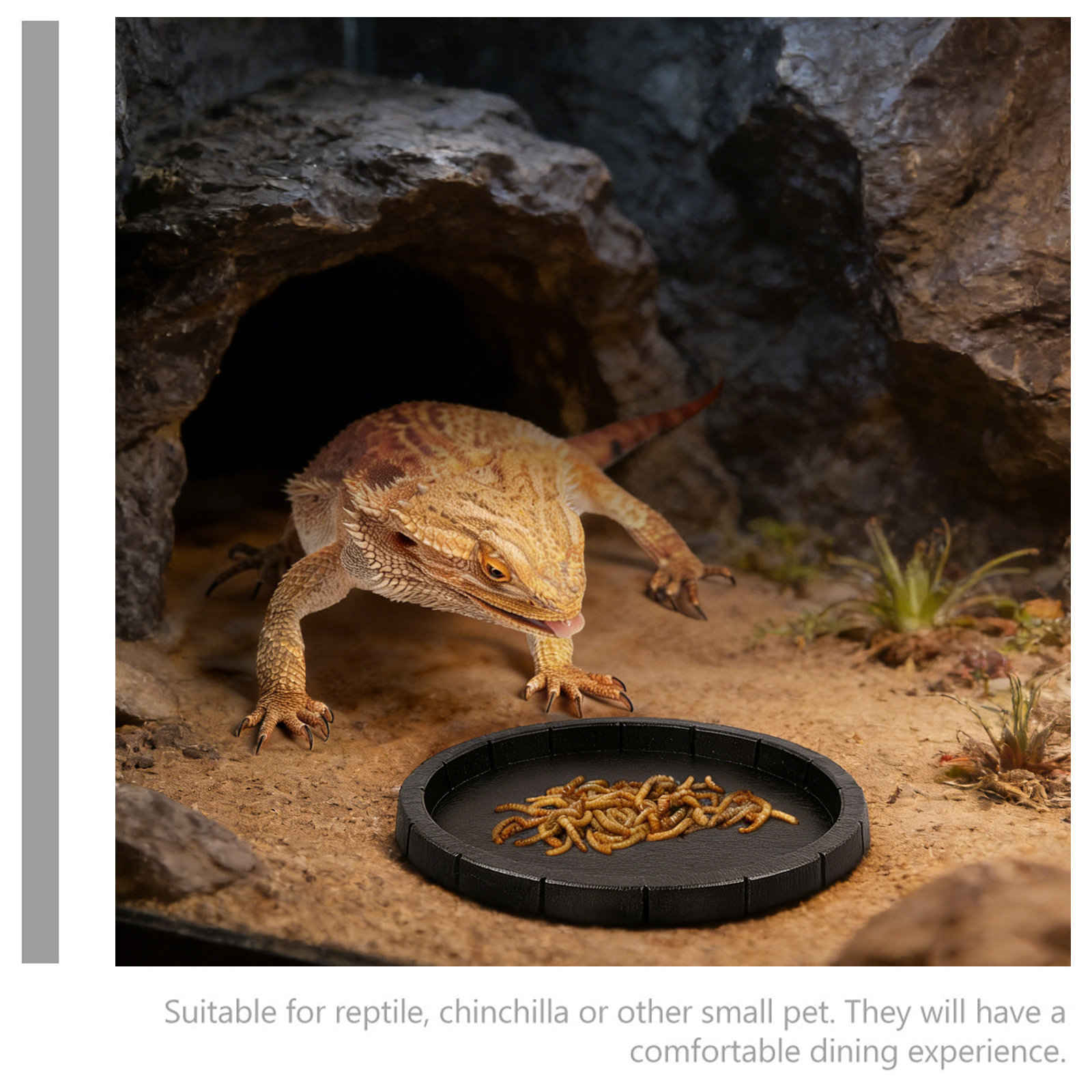 Reptile Feeding Bowl Compact L - Water Dish Reptile incelemesi ve fiyatı