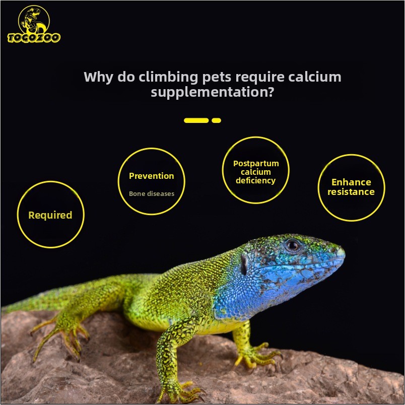 TOGOZOO WILDCAL Reptile Calciu - Calcium Powder Reptile incelemesi ve fiyatı