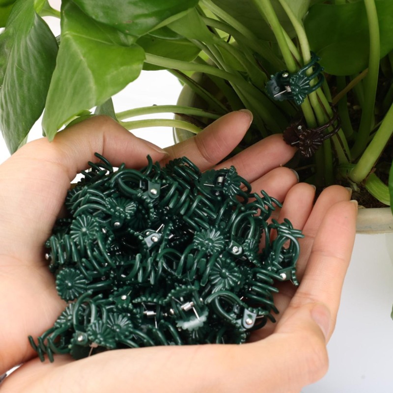 Wholesale Mini Plant Support C - Vine Climbing Plastic incelemesi ve fiyatı