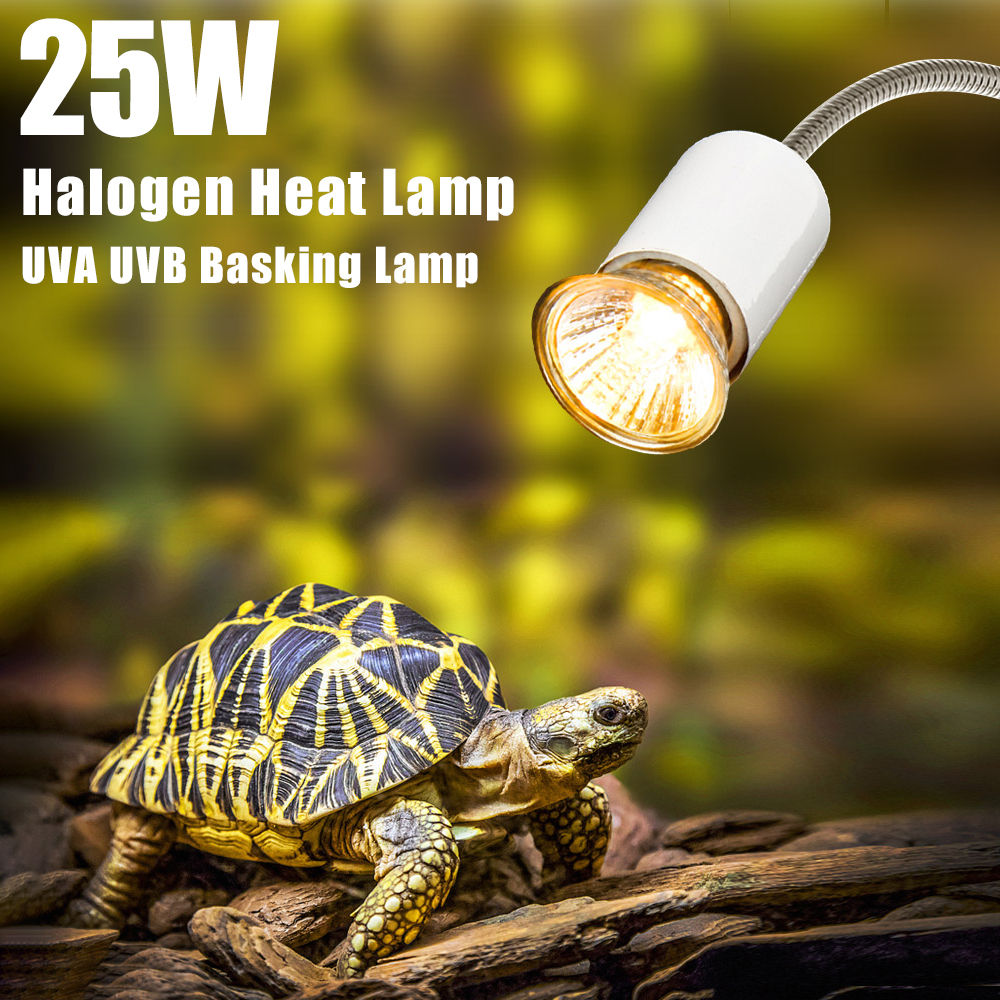 25W Halogen Heat Lamp UVA UVB  - Basking Bulb Halogen incelemesi ve fiyatı