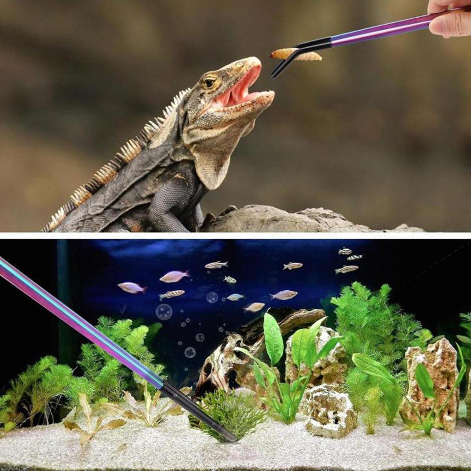 Aquarium Tweezers Reptile Feed - Feeding Tong Stainless incelemesi ve fiyatı