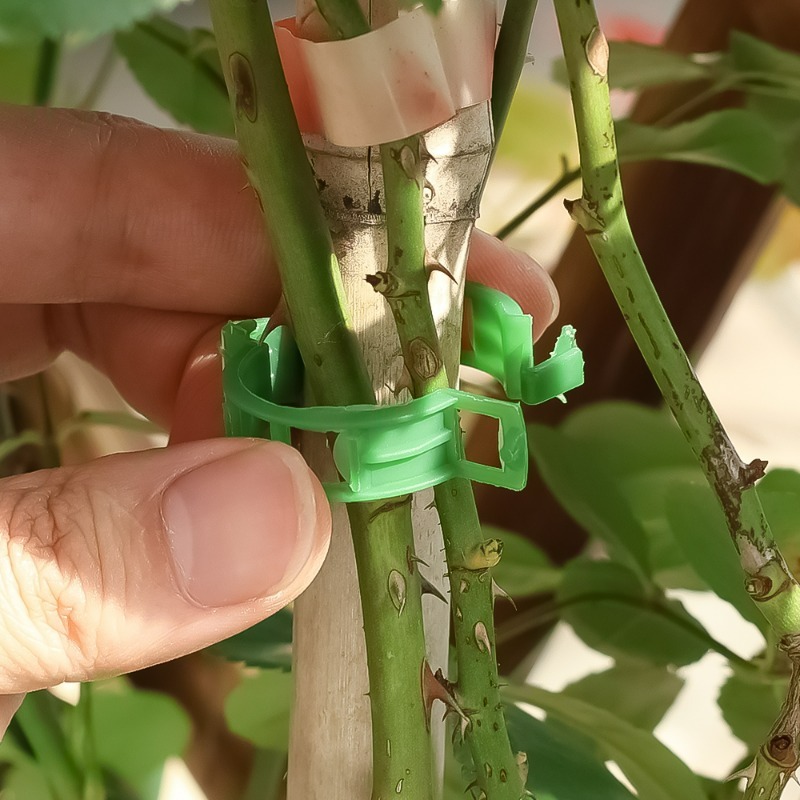 10-500Pcs Garden Plant Support - Vine Climbing Plastic incelemesi ve fiyatı