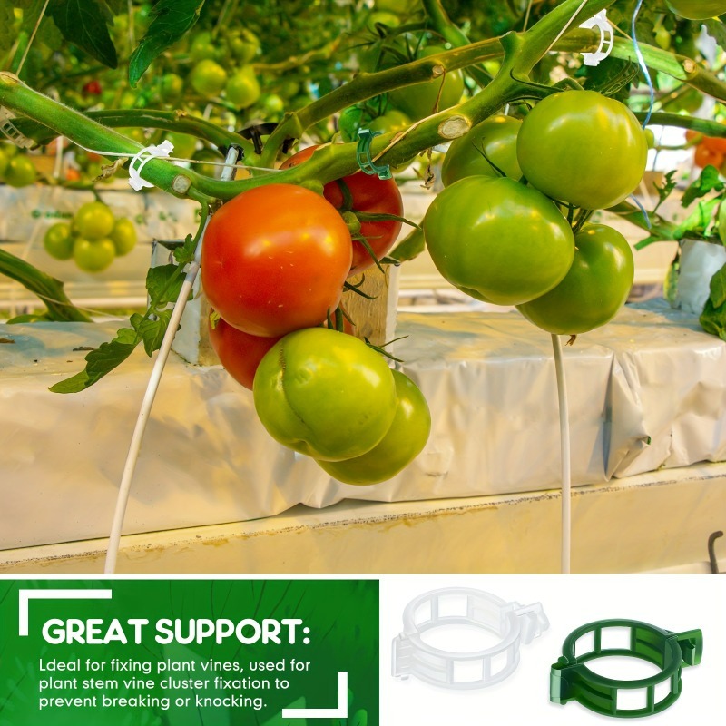 10-500Pcs Garden Plant Support - Vine Climbing Plastic incelemesi ve fiyatı