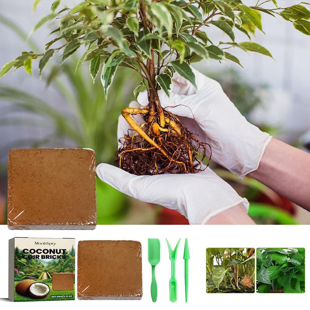 Coconut Coir Fiber Brick - Org - Substrate Coconut Fiber incelemesi ve fiyatı