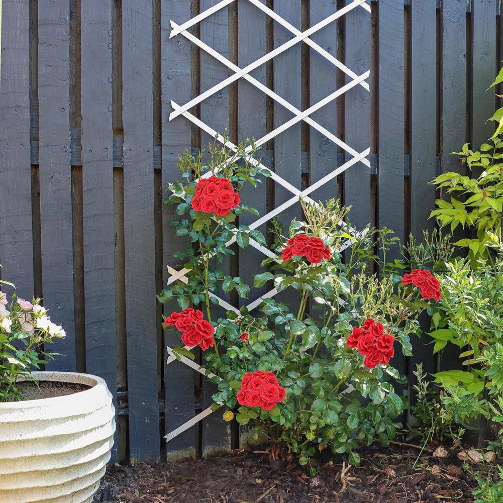 Expandable Garden Trellis 70 x - Vine Climbing Plastic incelemesi ve fiyatı