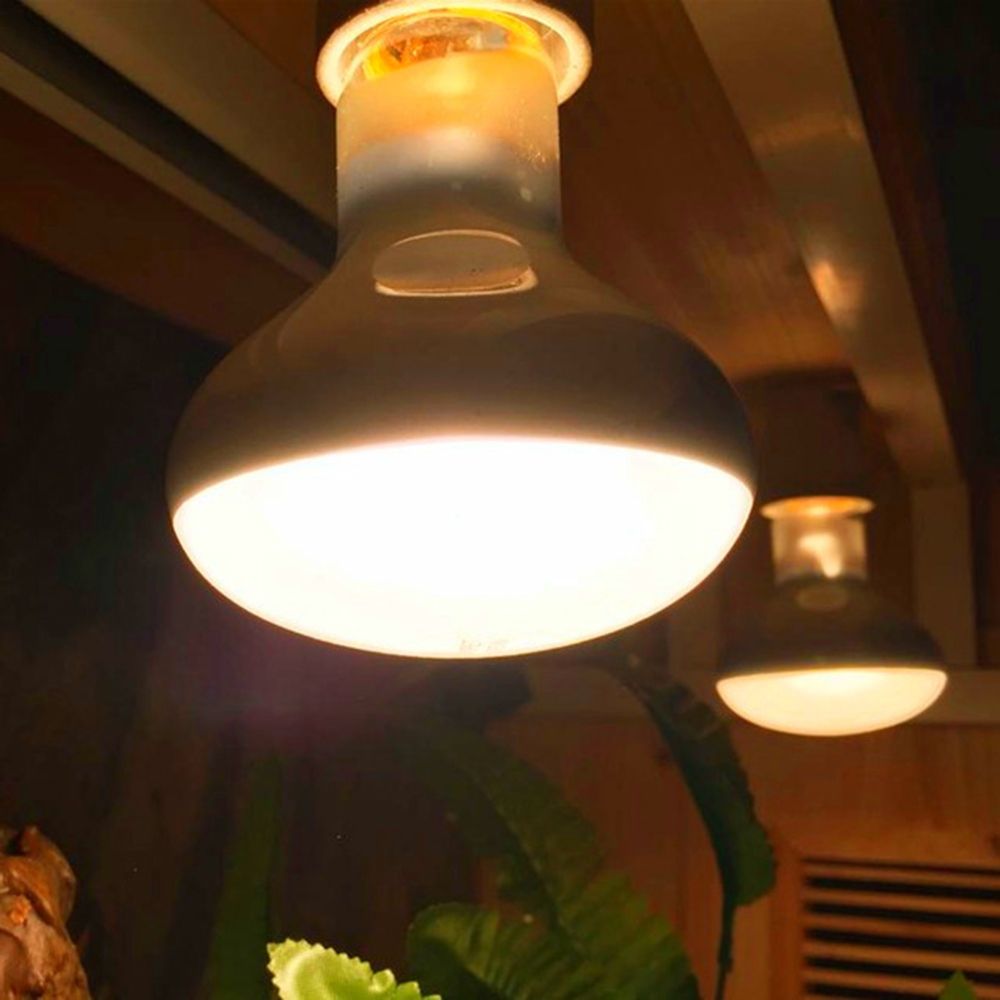Turtle Temperature Controller  - Basking Bulb Halogen incelemesi ve fiyatı