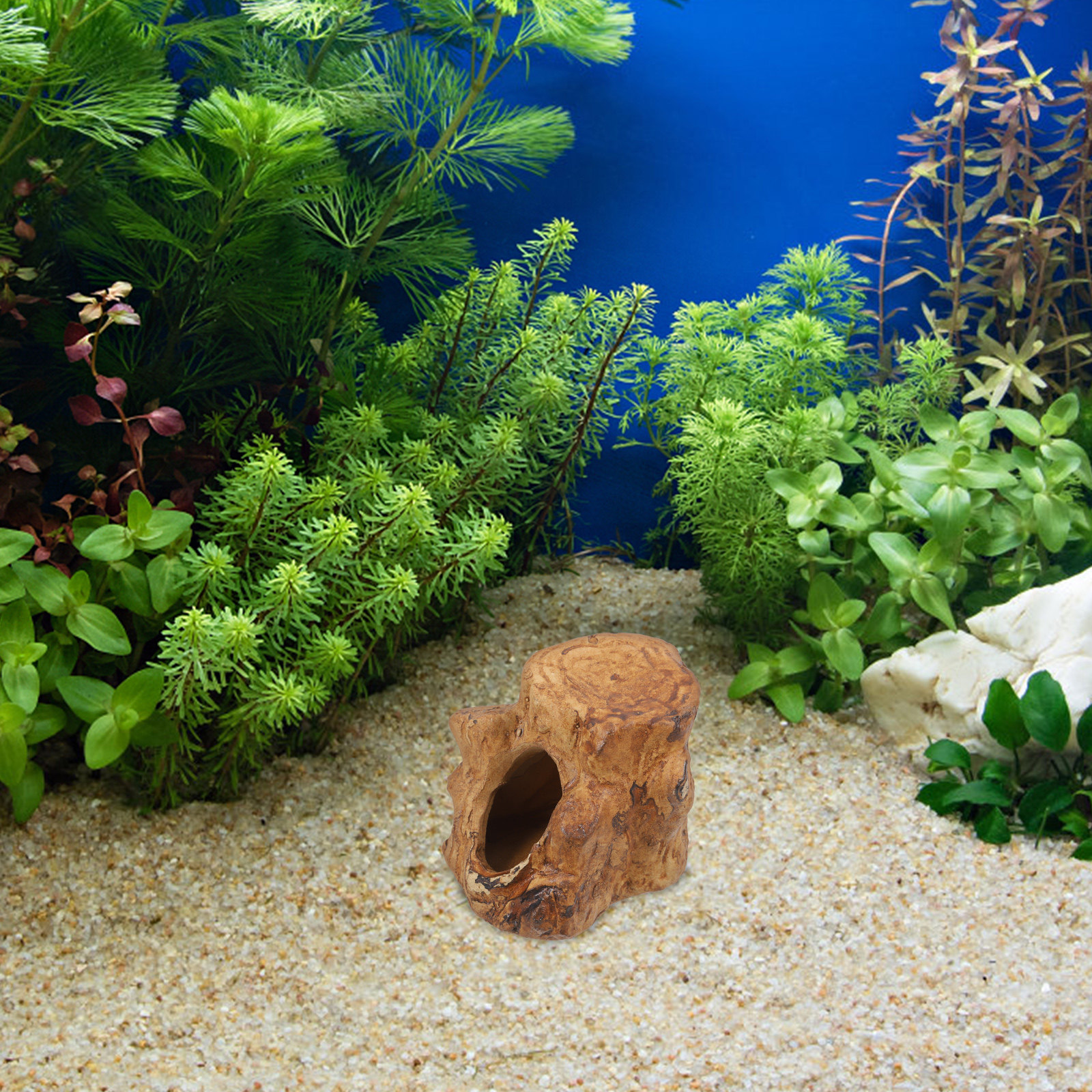 Pleco Caves for Aquarium Fish  - Hide Cave Ceramic incelemesi ve fiyatı