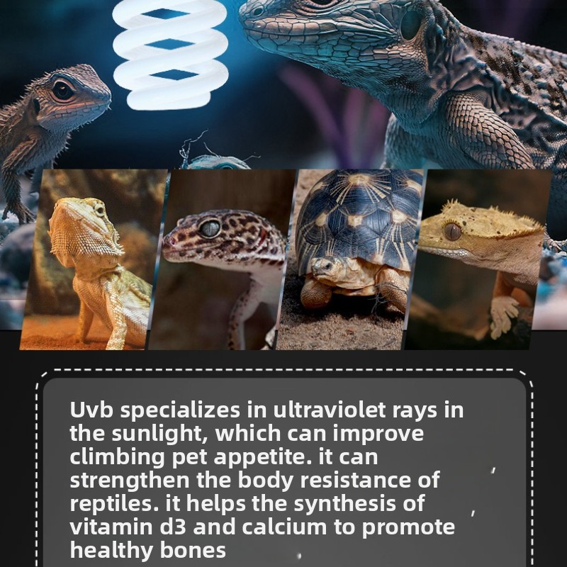 NOMOY 26W UVB Reptile Light Ca - Vitamin D3 Reptile incelemesi ve fiyatı