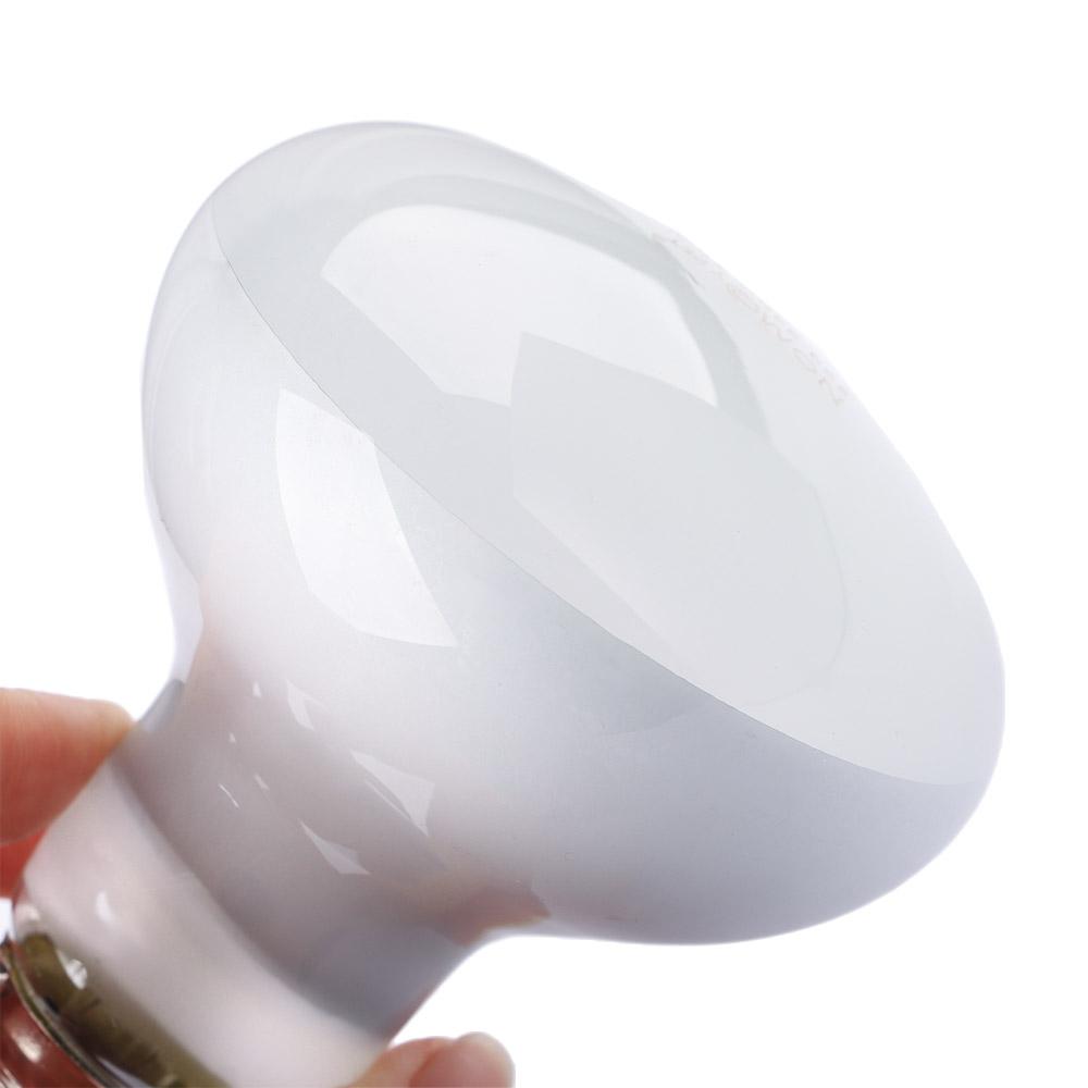 Turtle Heater Temperature Cont - Basking Bulb Halogen incelemesi ve fiyatı