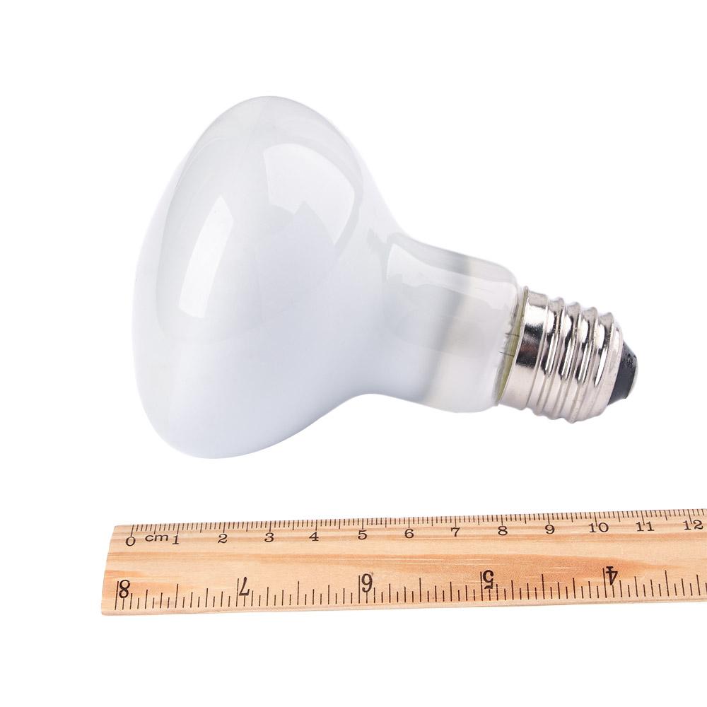 Turtle Heater Temperature Cont - Basking Bulb Halogen incelemesi ve fiyatı