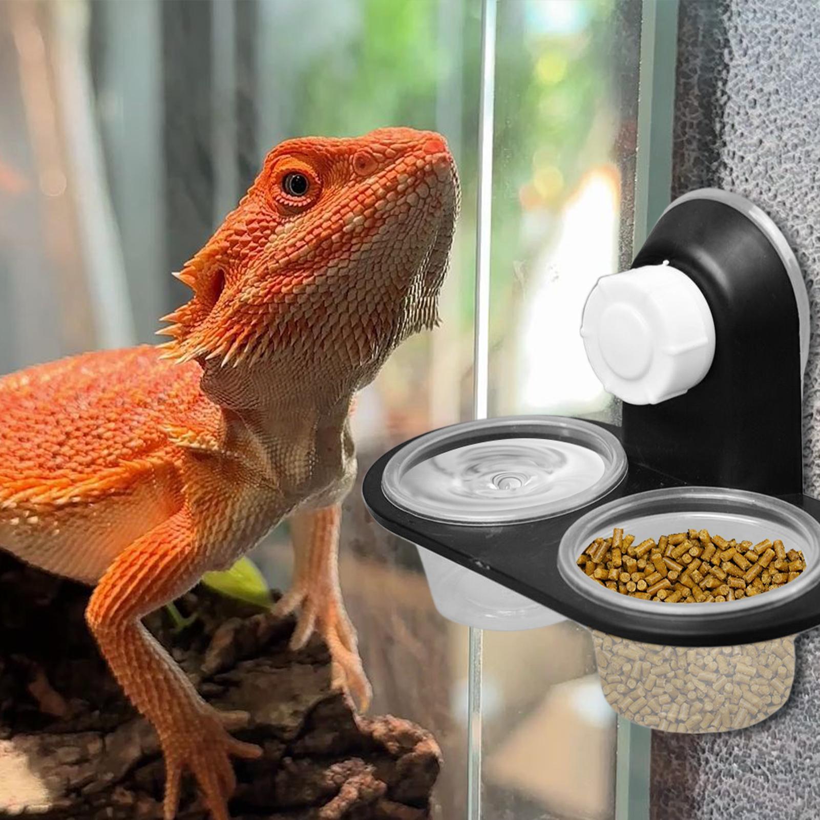 Gecko Food Dish Gecko Feeding  - Water Dish Reptile incelemesi ve fiyatı