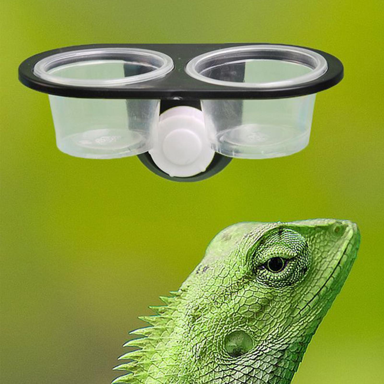 Gecko Food Dish Gecko Feeding  - Water Dish Reptile incelemesi ve fiyatı