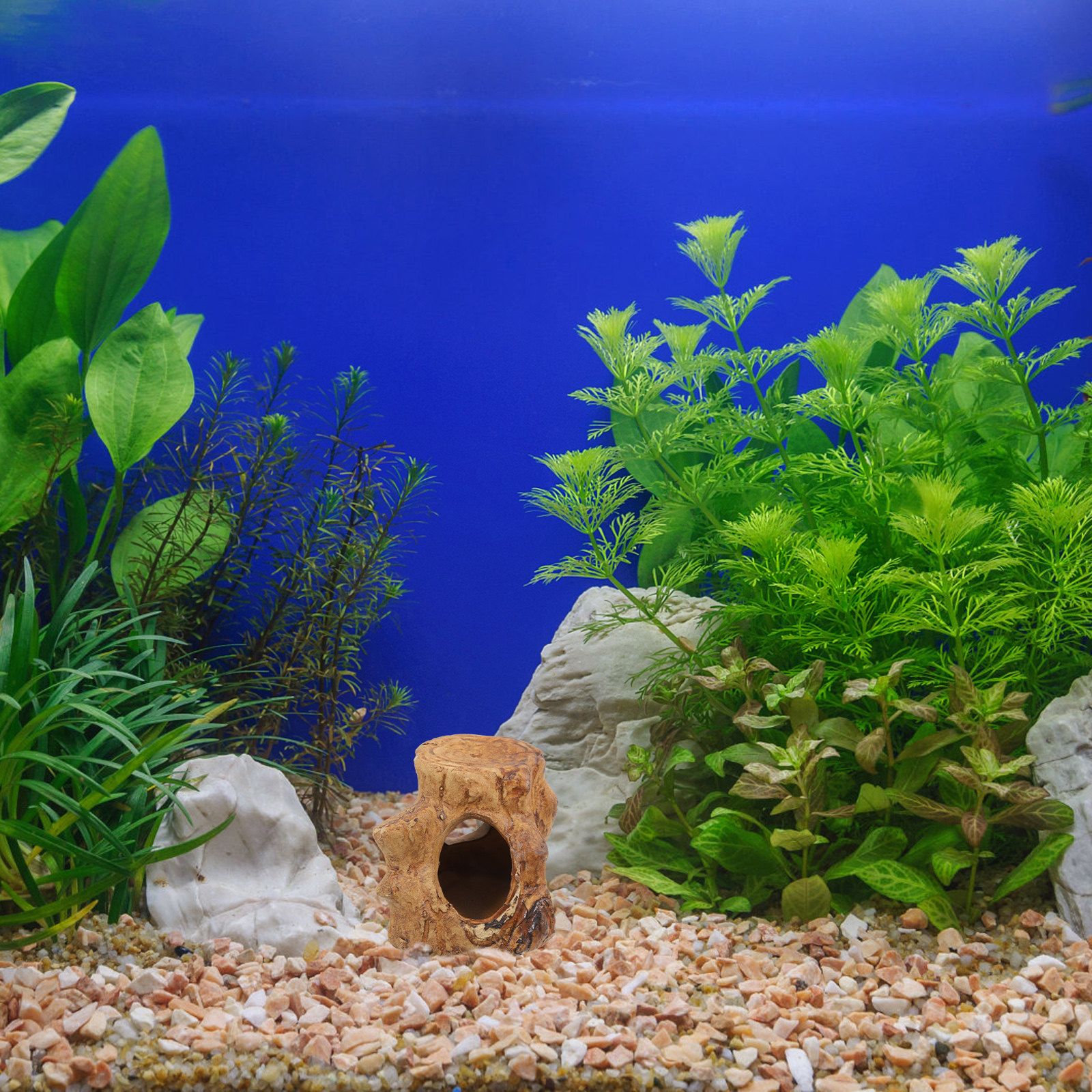 Pleco Caves Fish Tank Decorati - Hide Cave Ceramic incelemesi ve fiyatı