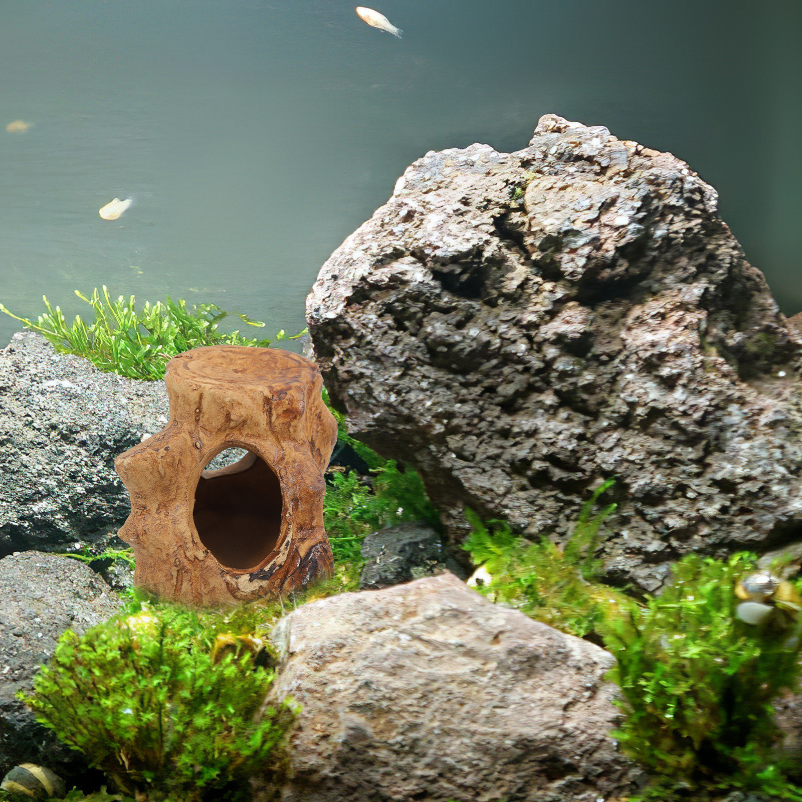 Pleco Caves Fish Tank Decorati - Hide Cave Ceramic incelemesi ve fiyatı