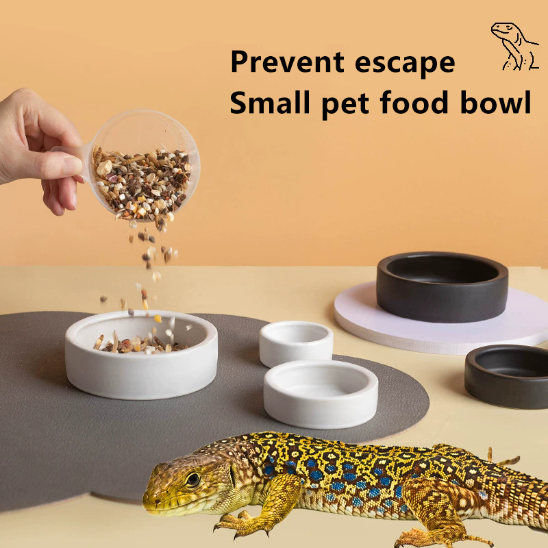 HOT! Reptile Food Bowl Anti-Es - Water Dish Reptile incelemesi ve fiyatı