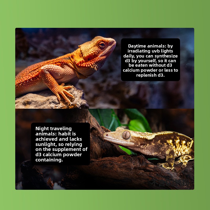 Reptizoo Reptile Calcium Powde - Vitamin D3 Reptile incelemesi ve fiyatı
