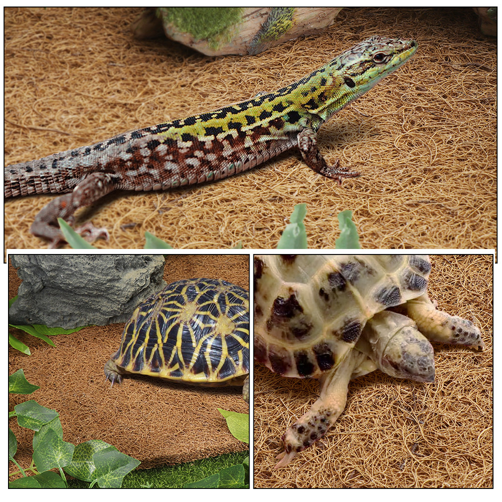 Reptile Carpet Natural Coconut - Substrate Coconut Fiber incelemesi ve fiyatı