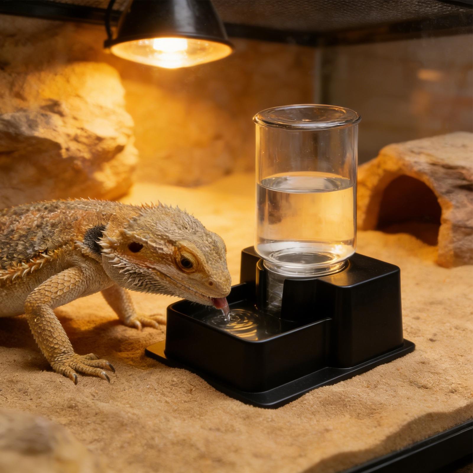 Bearded Dragon Water Fountain  - Water Dish Reptile incelemesi ve fiyatı