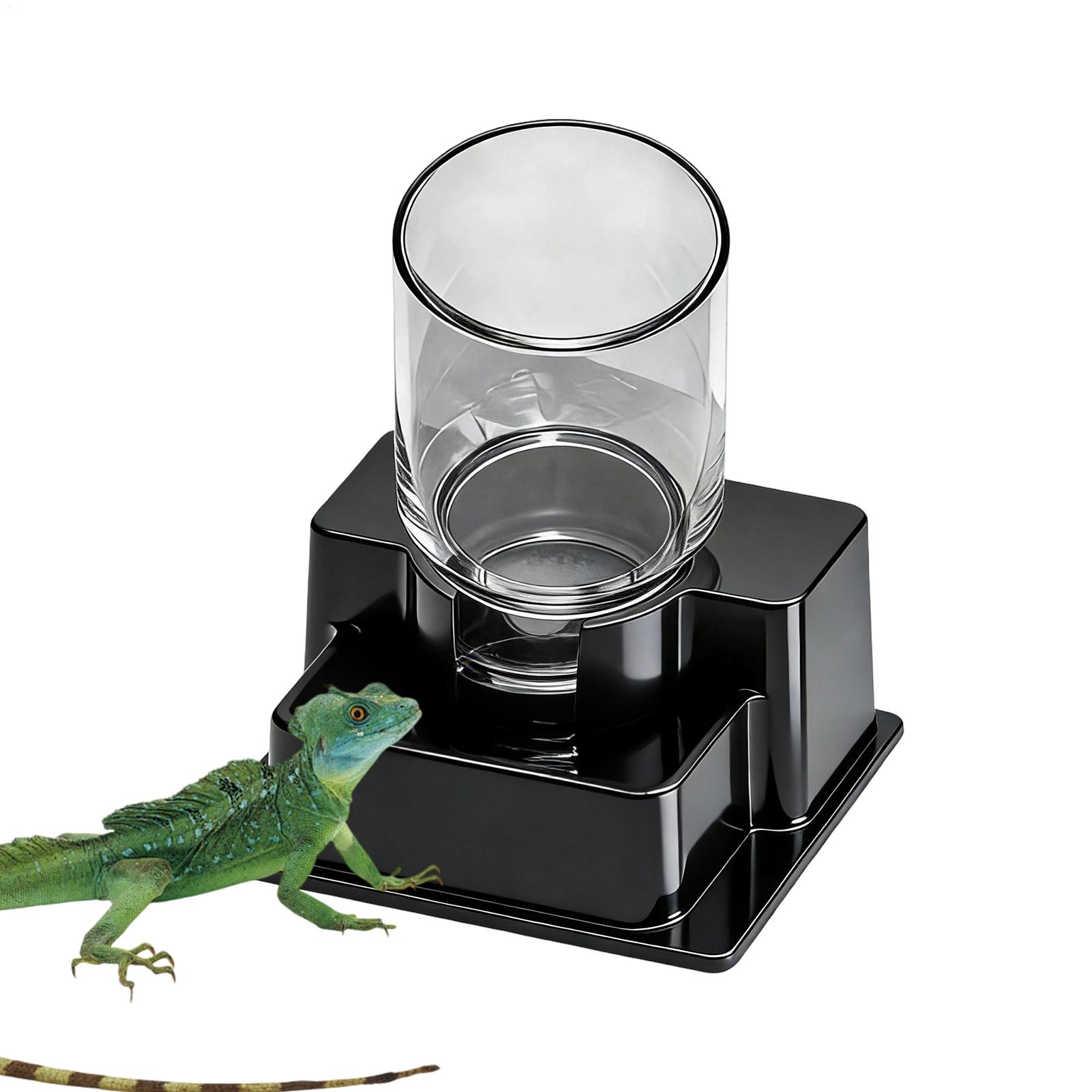 Bearded Dragon Water Fountain  - Water Dish Reptile incelemesi ve fiyatı