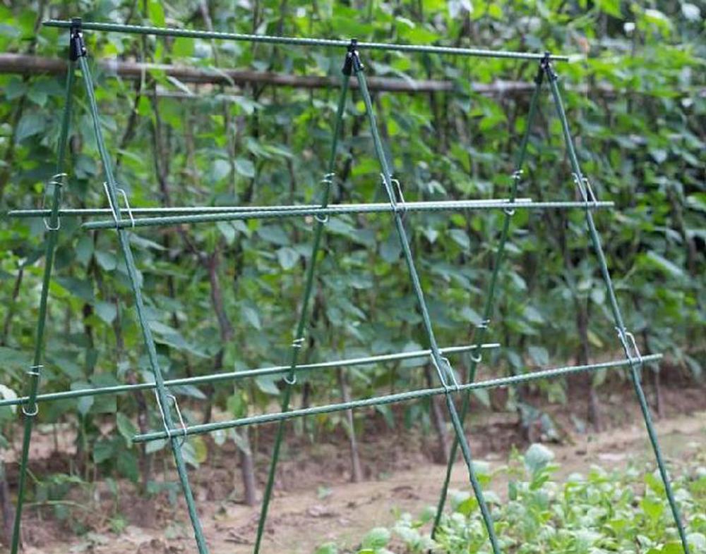Diameter 8/11/16mm Plant Suppo - Vine Climbing Plastic incelemesi ve fiyatı