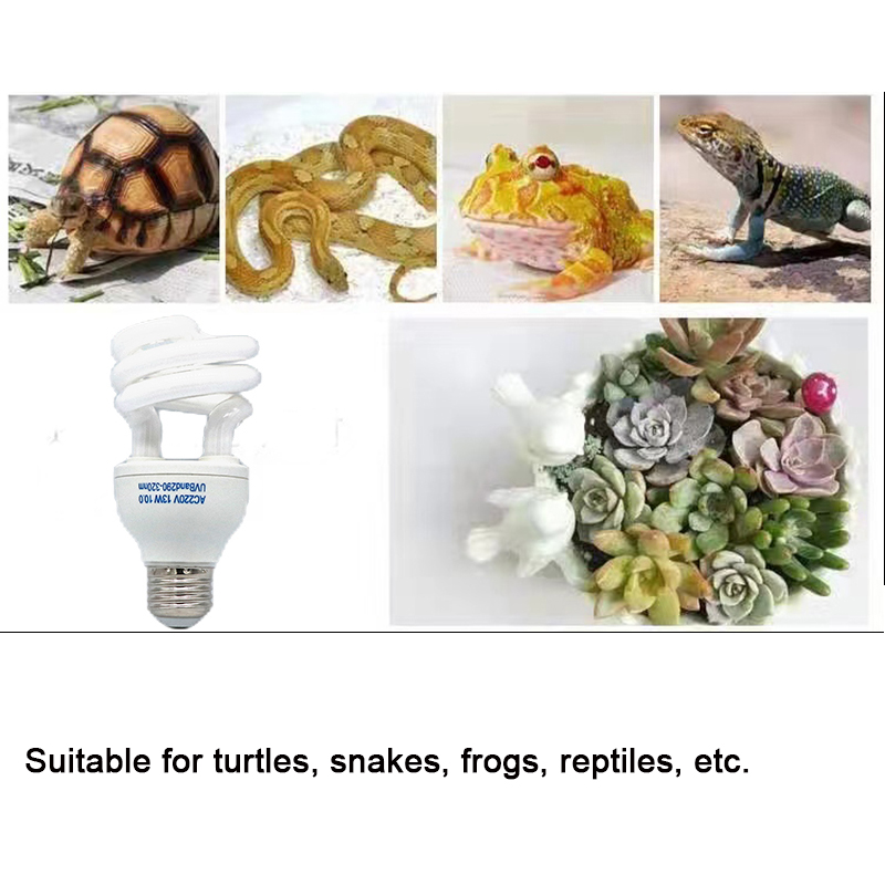 E27 13W/26W Reptile Uvb Lamp   - Calcium Powder Reptile incelemesi ve fiyatı