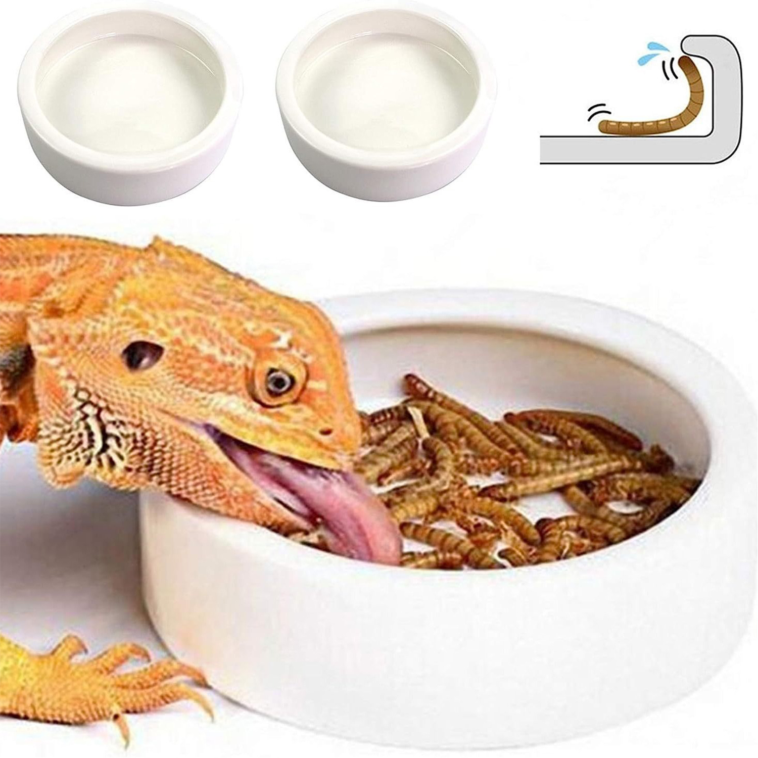 Reptile Food Bowl Feeding and  - Water Dish Reptile incelemesi ve fiyatı