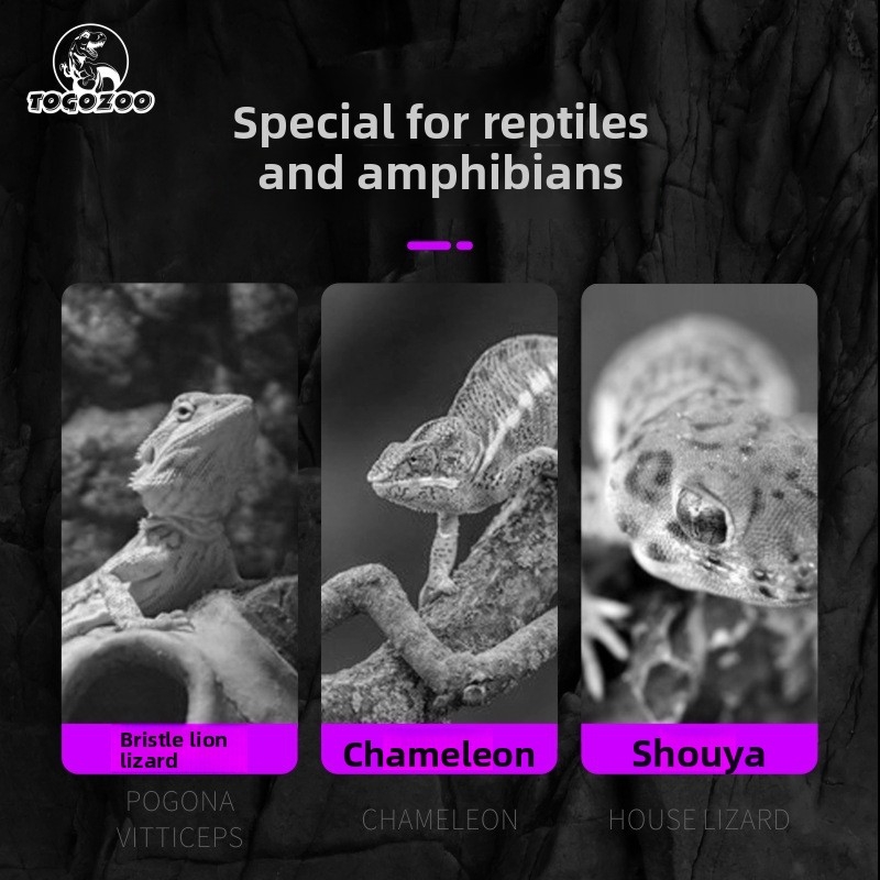 TOGOZOO WILD-VIT Reptile Calci - Calcium Powder Reptile incelemesi ve fiyatı