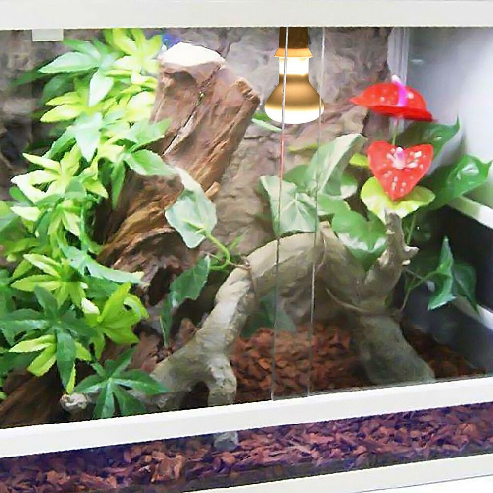 Turtle Temperature Controller  - Basking Bulb Halogen incelemesi ve fiyatı
