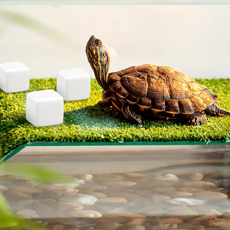 6 Pcs Fish Tank Calcium Block  - Calcium Powder Reptile incelemesi ve fiyatı