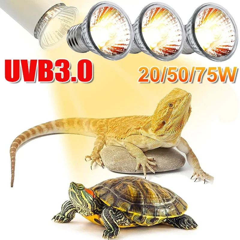 25/50/75W UVB Reptile Lamp Bul - Calcium Powder Reptile incelemesi ve fiyatı