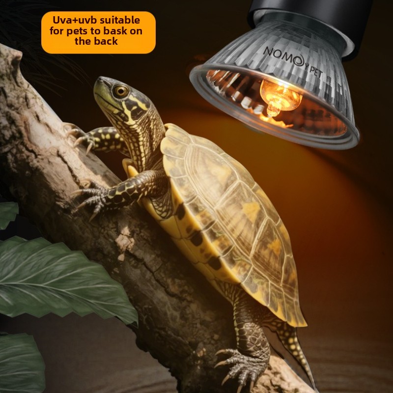 NOMOY 25/50/75w UVB 3.0 Reptil - Vitamin D3 Reptile incelemesi ve fiyatı