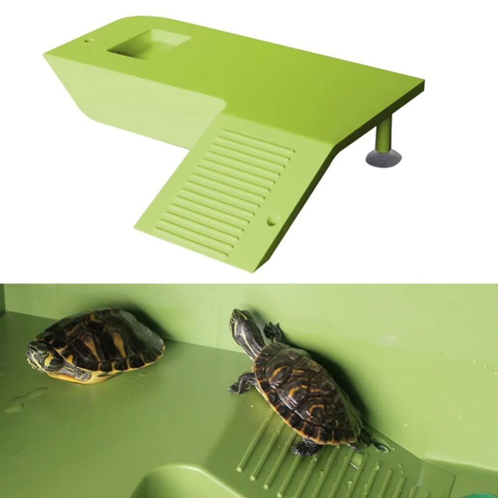 Water Land Slope Box Feeding C - Water Dish Reptile incelemesi ve fiyatı