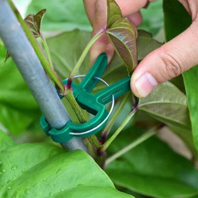 50 Reusable Plant Fixed Clips, - Vine Climbing Plastic incelemesi ve fiyatı