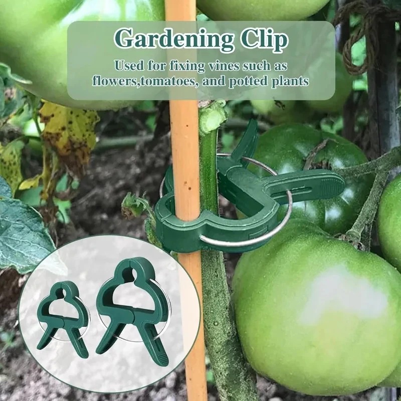 50 Reusable Plant Fixed Clips, - Vine Climbing Plastic incelemesi ve fiyatı