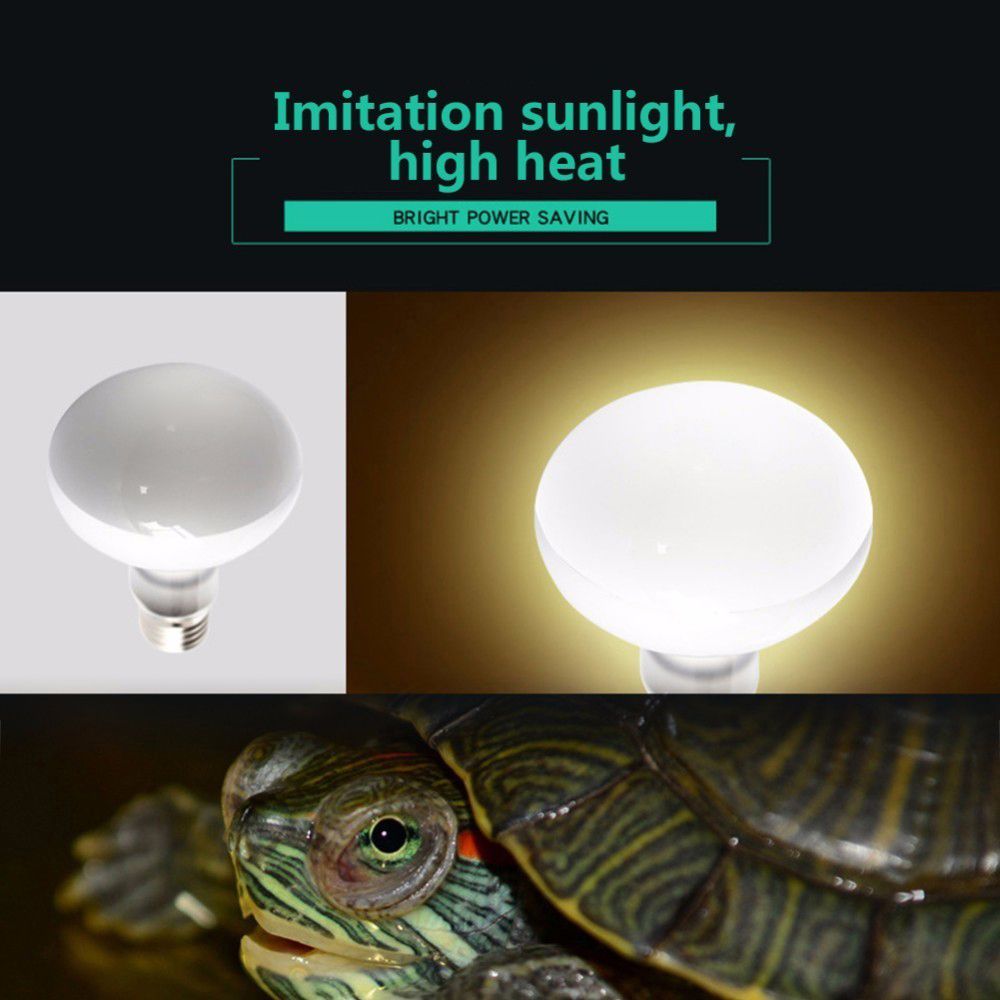 Amphibians Heat Lamp Temperatu - Basking Bulb Halogen incelemesi ve fiyatı