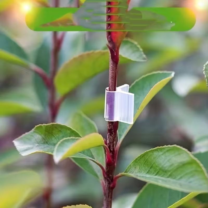50pcs Agriculture Grafting Cli - Vine Climbing Plastic incelemesi ve fiyatı