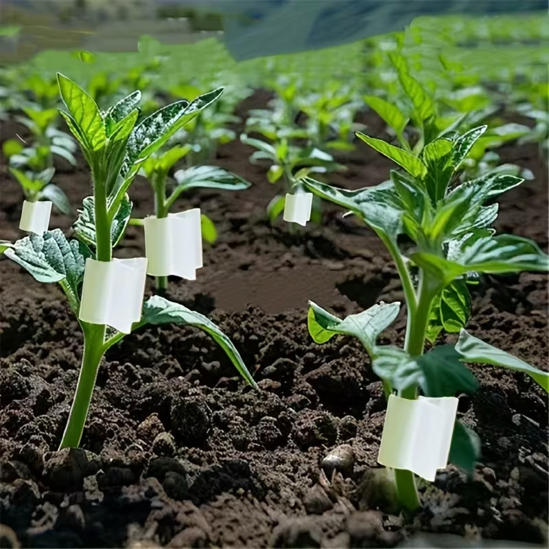 50pcs Agriculture Grafting Cli - Vine Climbing Plastic incelemesi ve fiyatı
