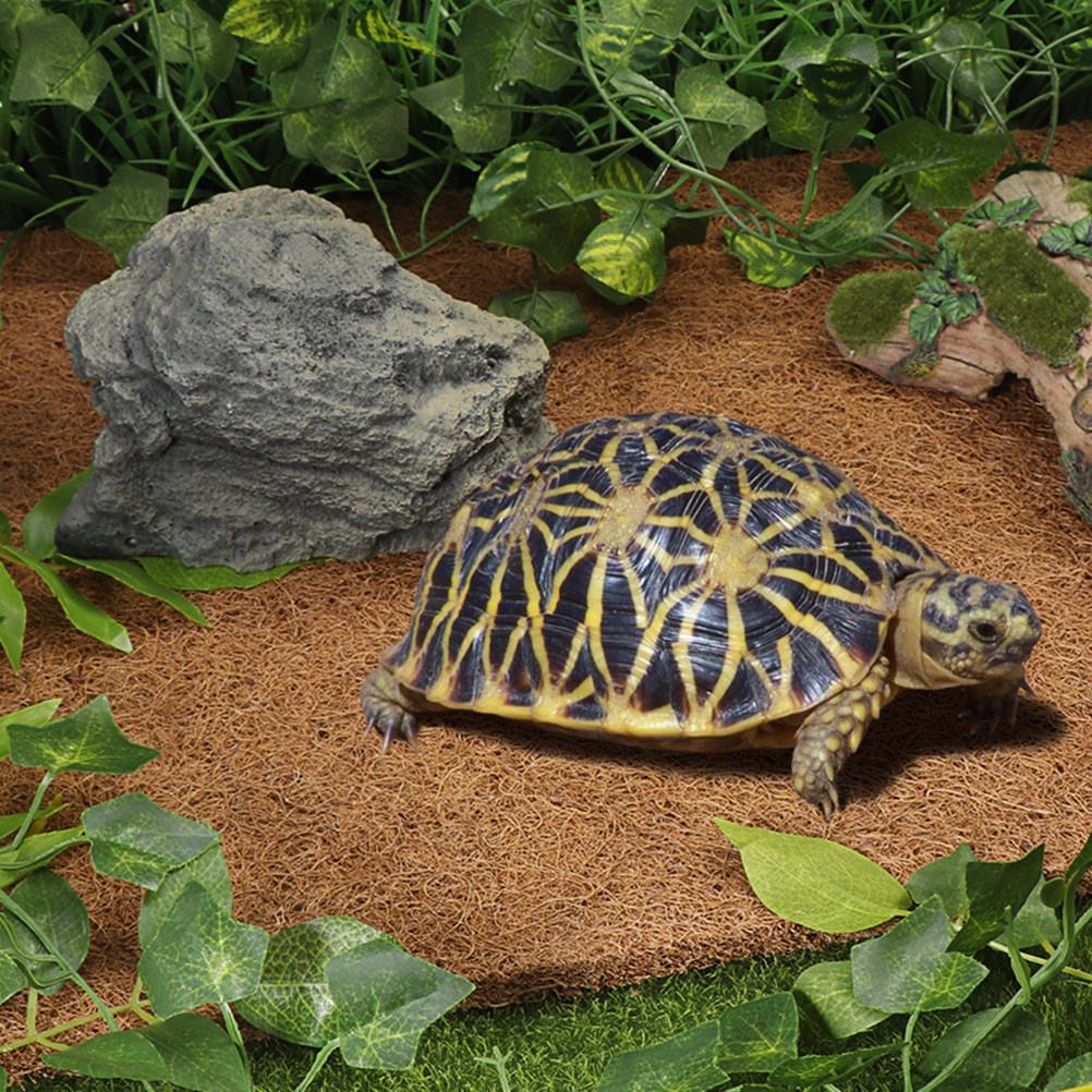 Natural Coconut Fiber Reptile  - Substrate Coconut Fiber incelemesi ve fiyatı