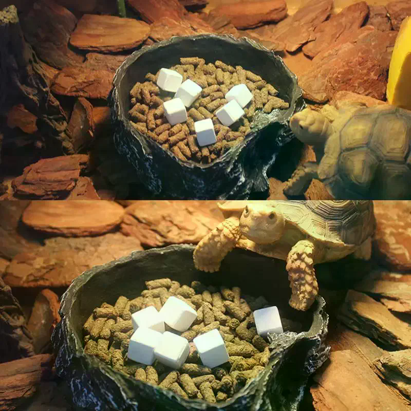 Slow Release Calcium Mineral B - Calcium Powder Reptile incelemesi ve fiyatı