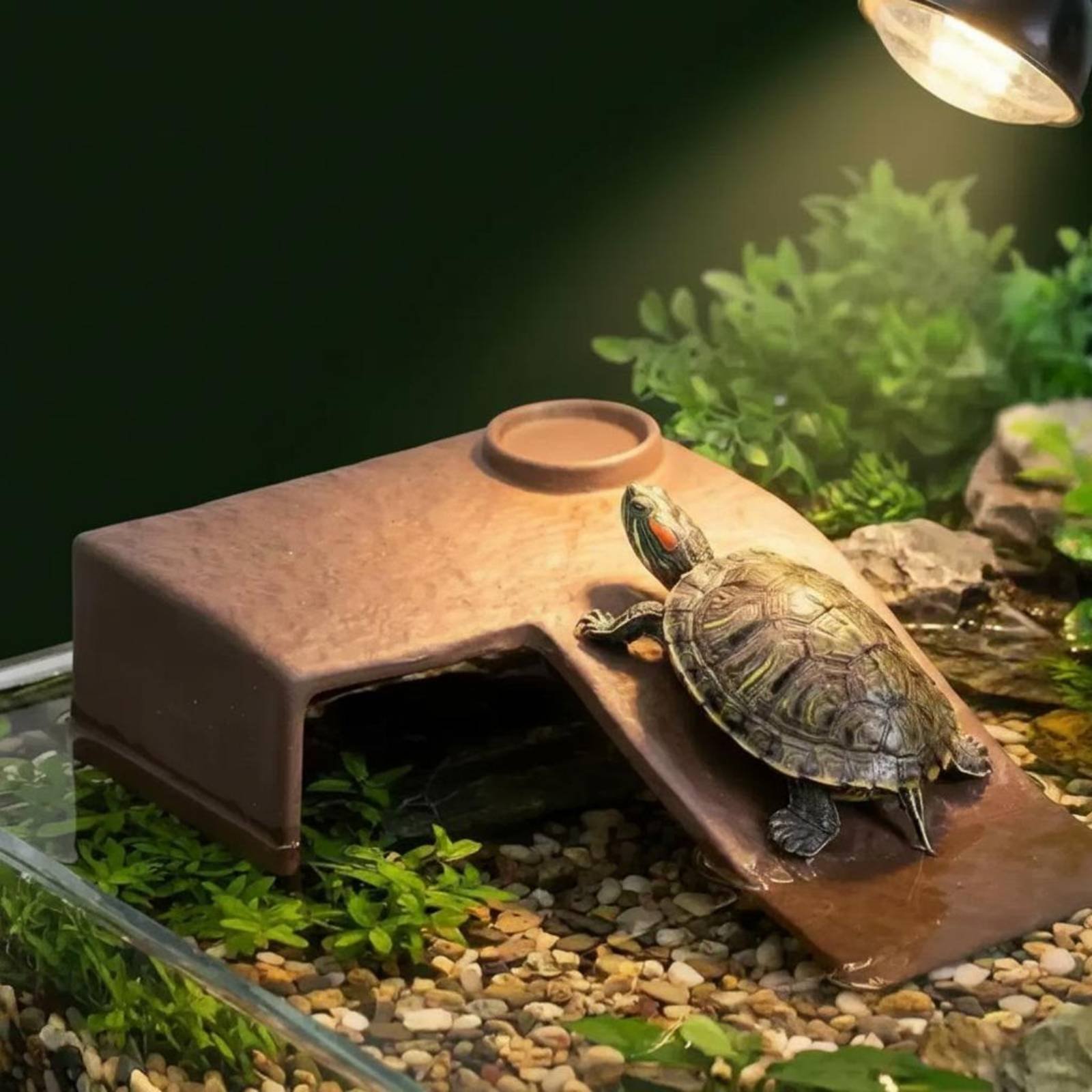 2 Pieces Turtle Basking Dock E - Hide Cave Ceramic incelemesi ve fiyatı