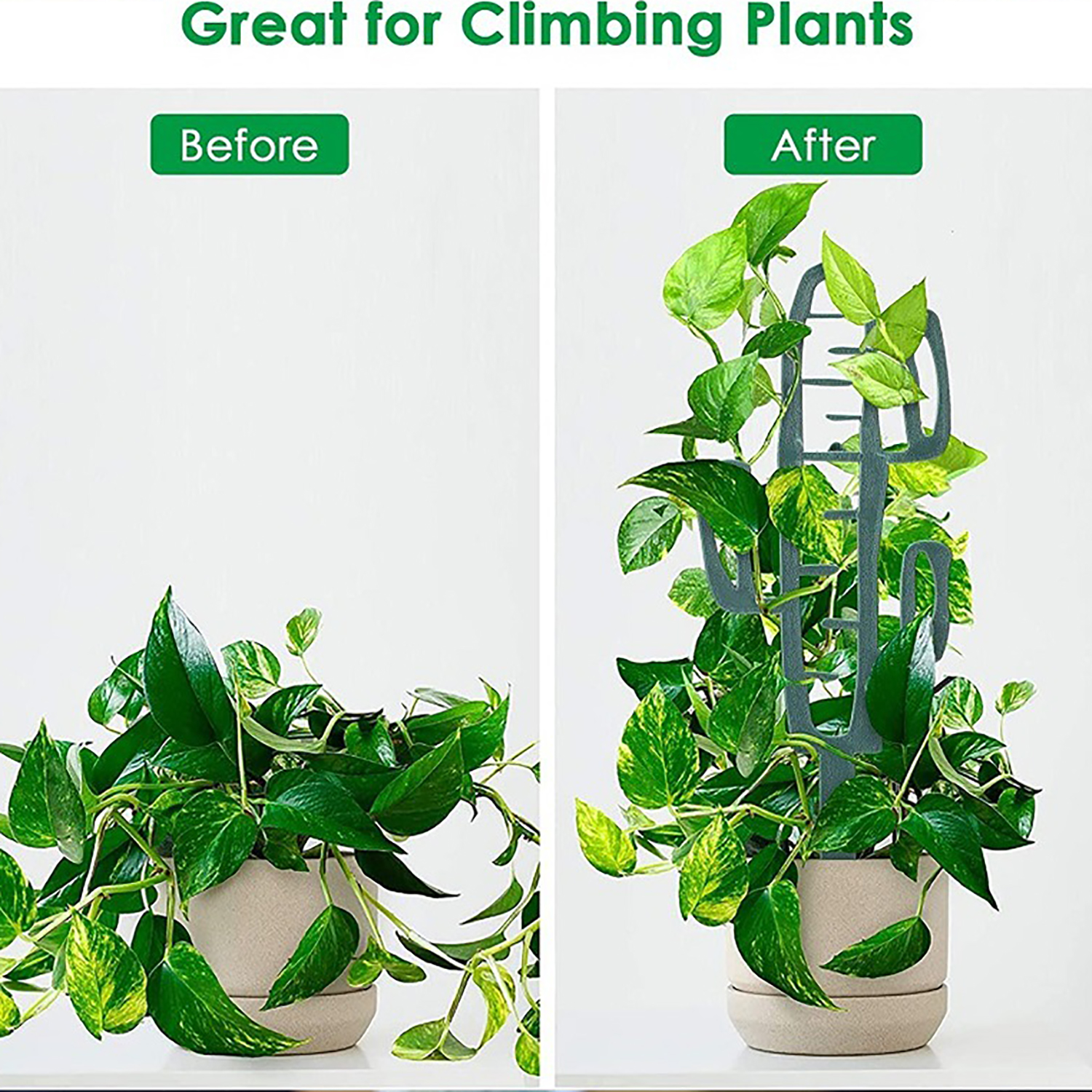 Plant Climbing Support Stand F - Vine Climbing Plastic incelemesi ve fiyatı