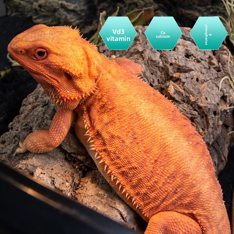 SuperRep Reptile Calcium Pro-V - Vitamin D3 Reptile incelemesi ve fiyatı
